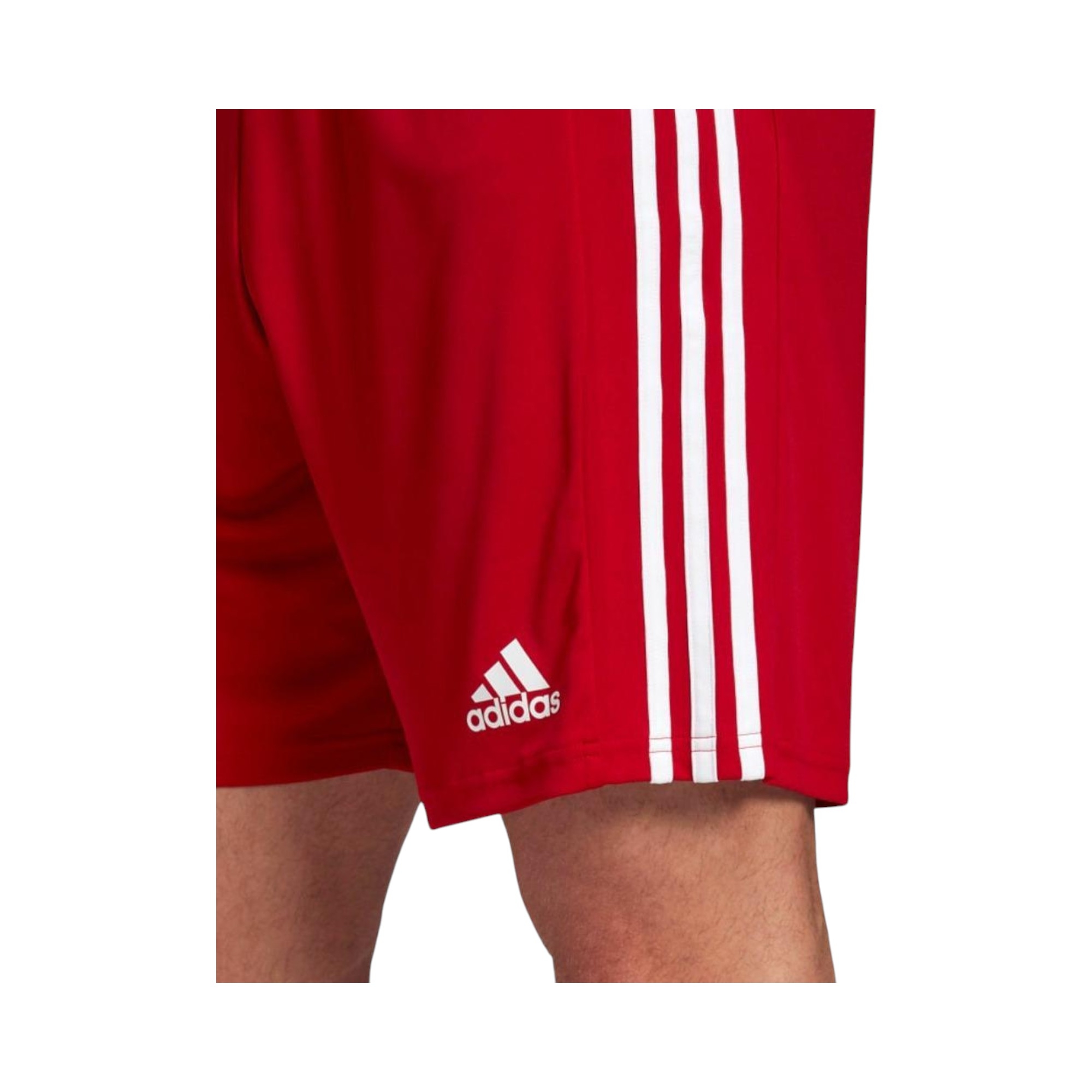 Shorts Squadra 21 