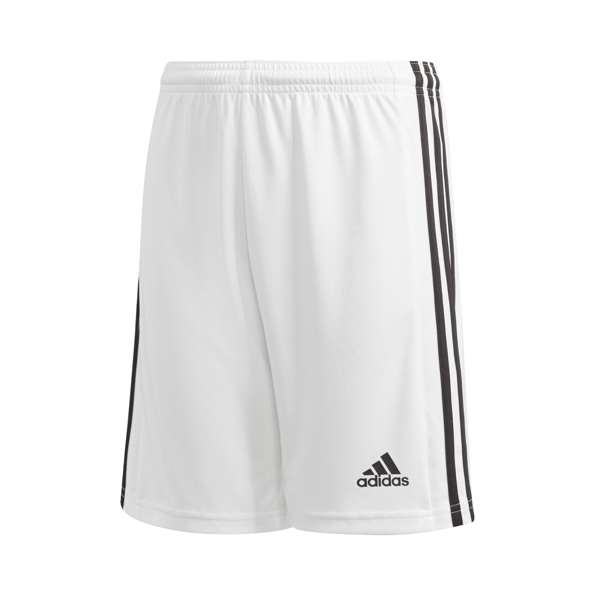 Shorts Squadra 21 