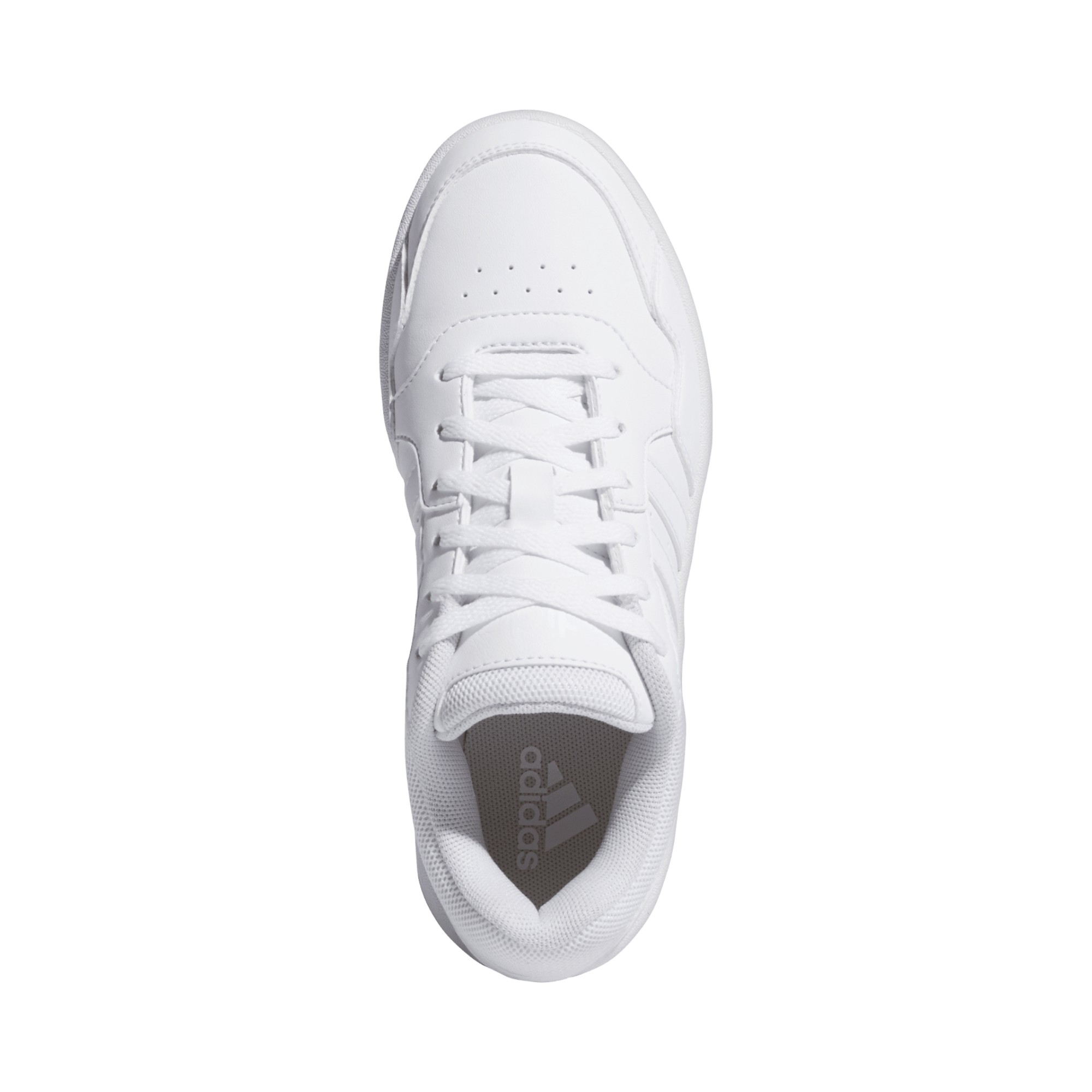 SYNLEA-TXT       WHITE/WHITE/WHITE