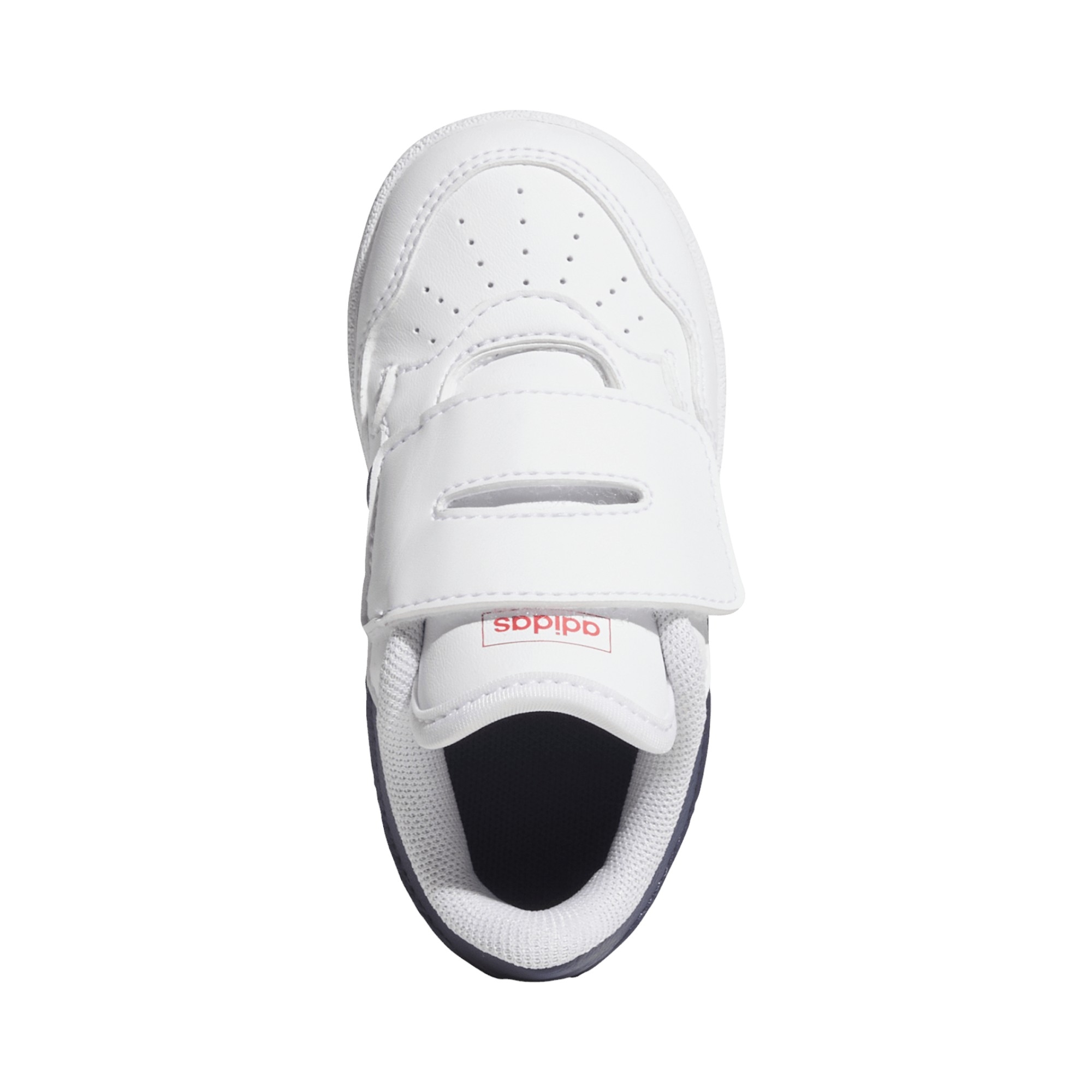 SYNLEA-TXT       WHT/BLUE/RED