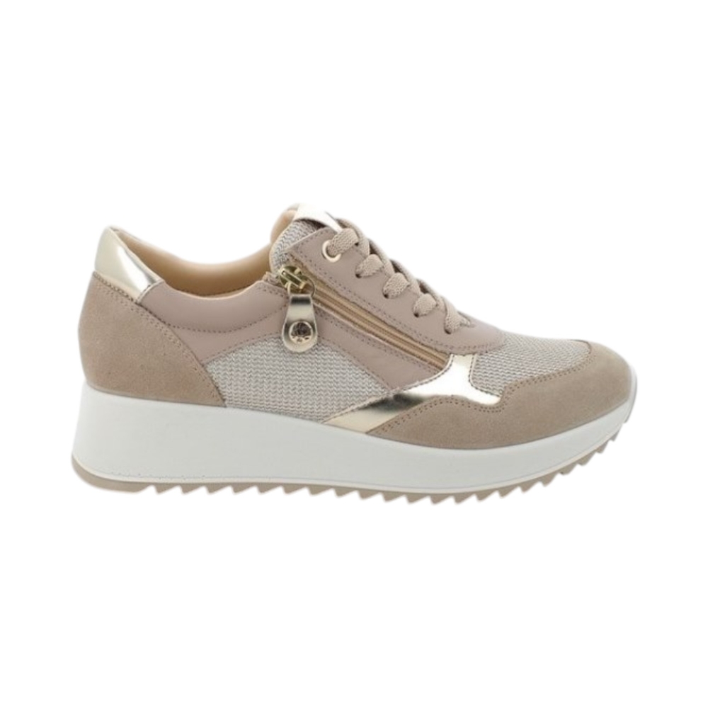 SC.CAMOS-MESH    F.ESTHER