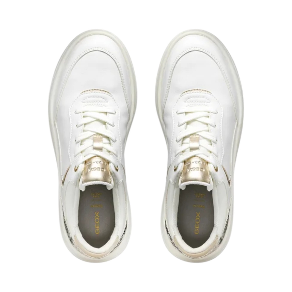 SC.S.VIT+S.PIT   SPHER.ECUB3-WHT/BEI