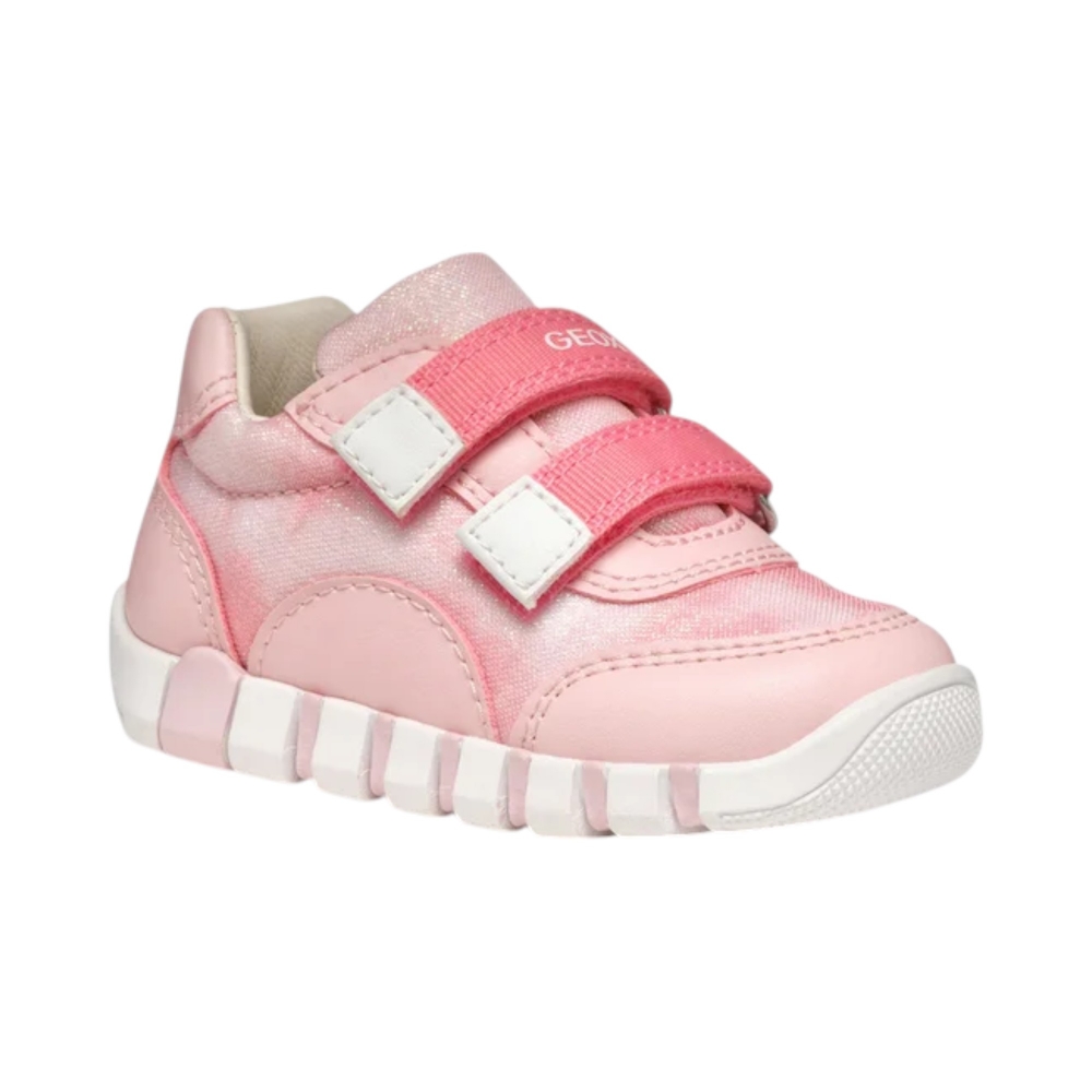 SC.TESS-S.PELLE  IUPIDOO-SALMON