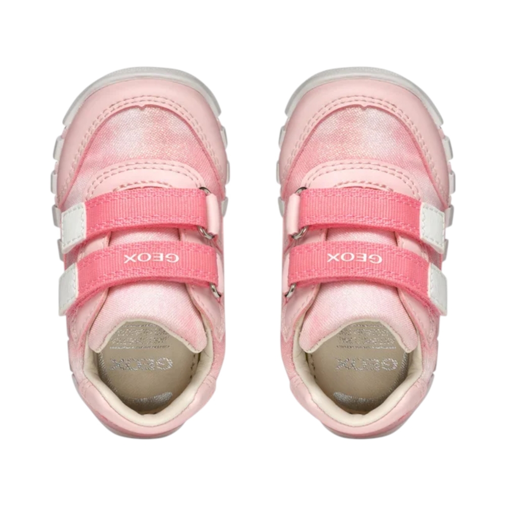 SC.TESS-S.PELLE  IUPIDOO-SALMON