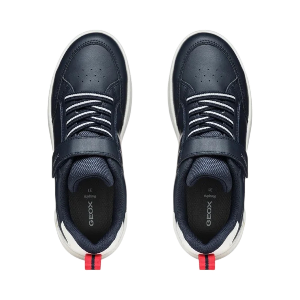 SC.S.PELLE+TESS  WASHIBA-NAVY/WHT