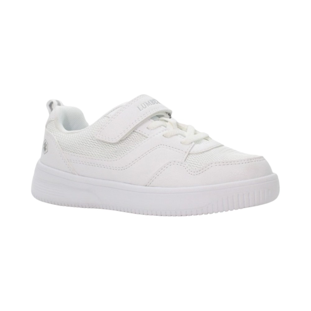 SC.MESH-SINT     S51-CA001
