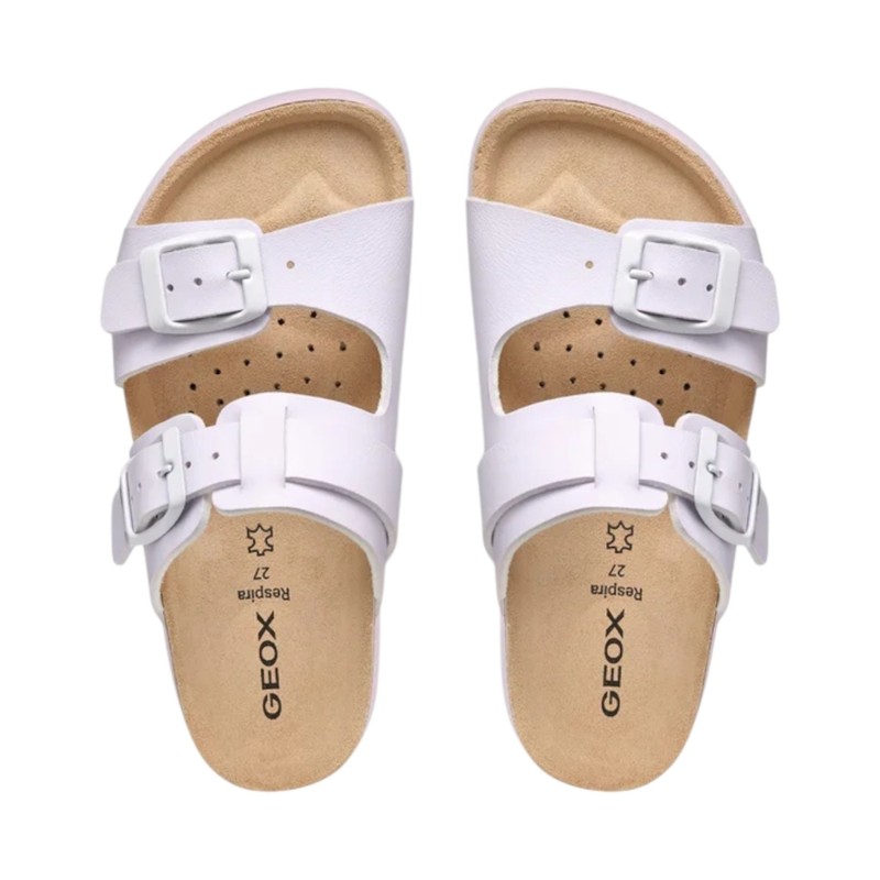 SCALZ.S.VITELLO  BUBBLEBOW-LILAC