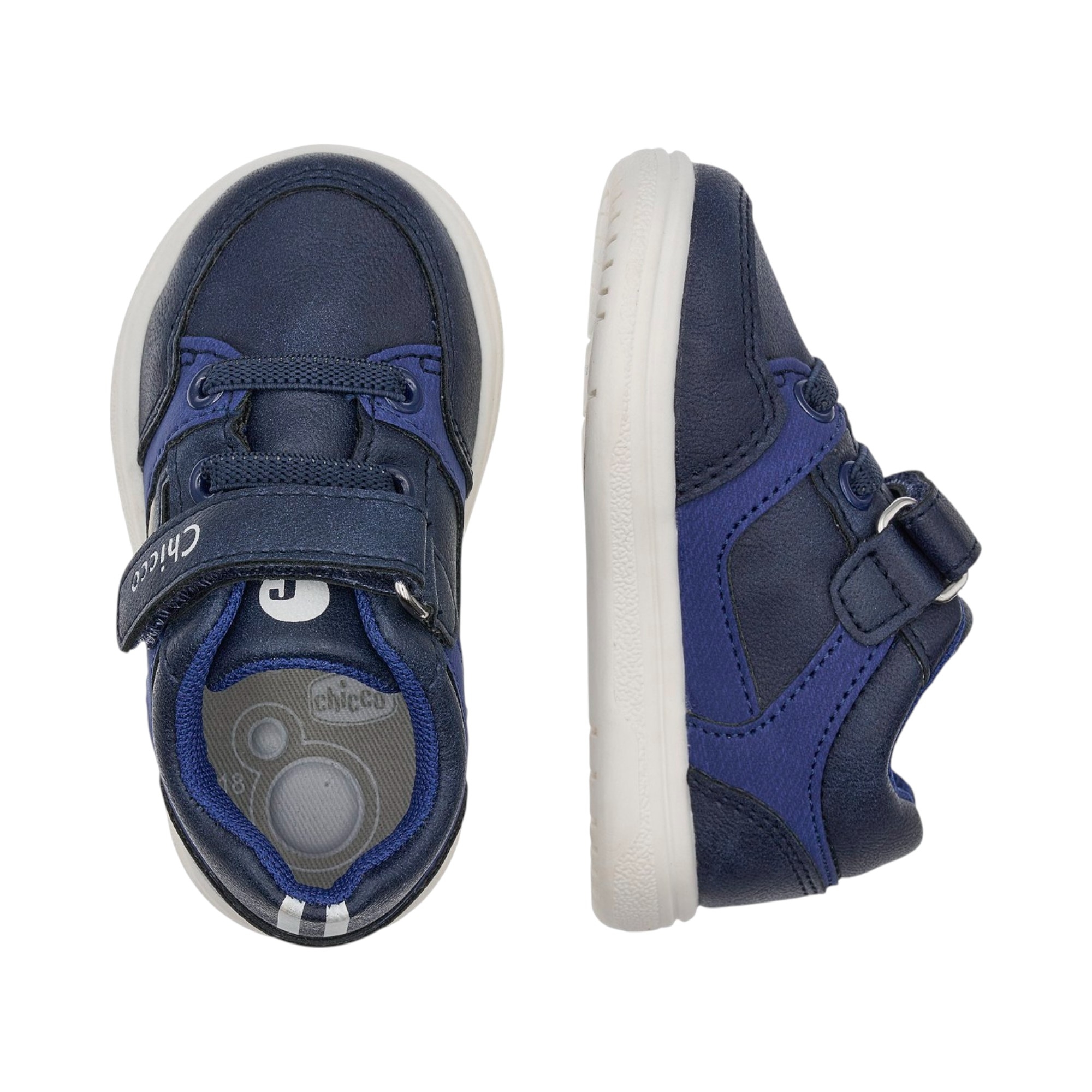 Sneakers Guscio