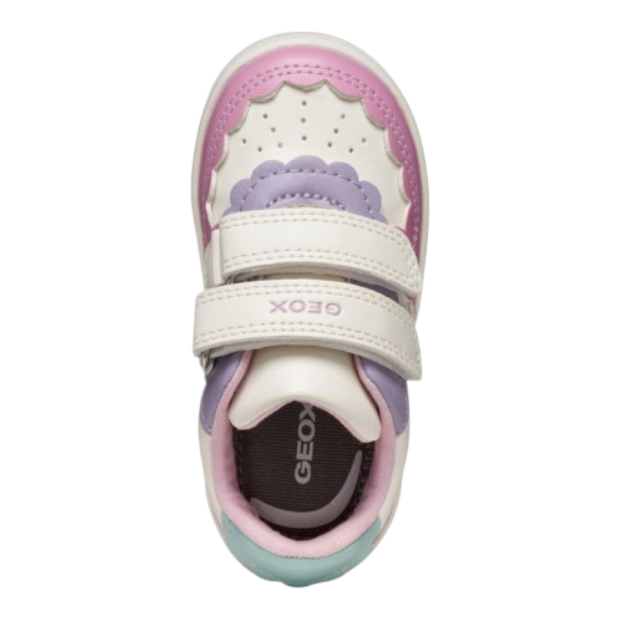 Sneakers Eclyper 