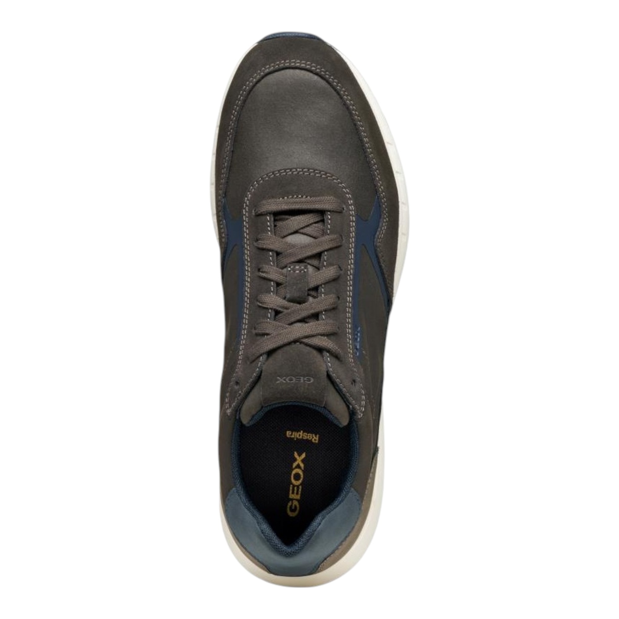 Sneakers Branthon 