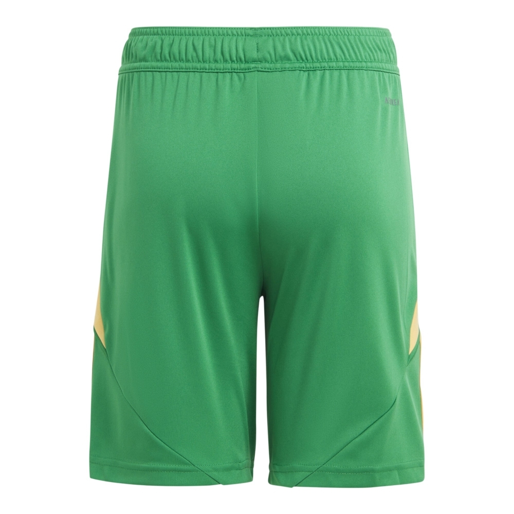 Shorts Tiro 24 
